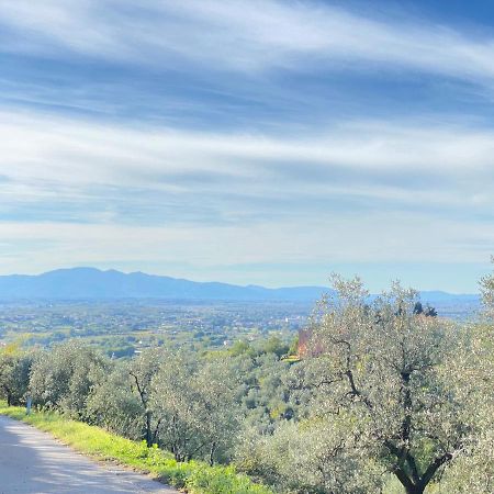 Leonardo Da Vinci - Appartamento Nel Verde Con Parcheggio E Wi-Fi Kültér fotó