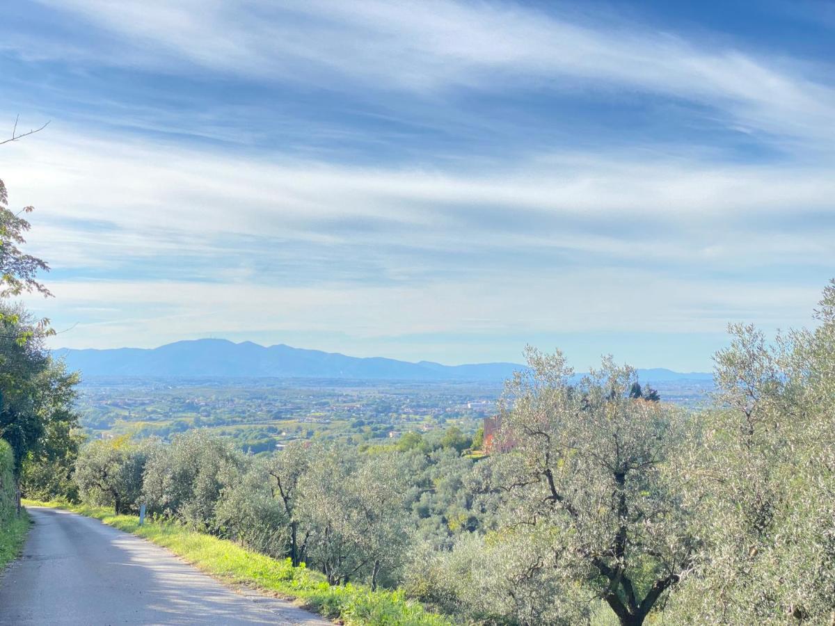 Leonardo Da Vinci - Appartamento Nel Verde Con Parcheggio E Wi-Fi Kültér fotó